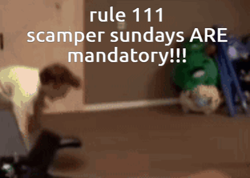 Rule 111 Rules GIF