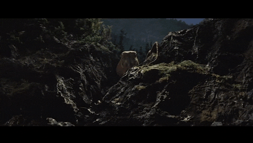 a squirrel is sitting on a rock in a dark forest