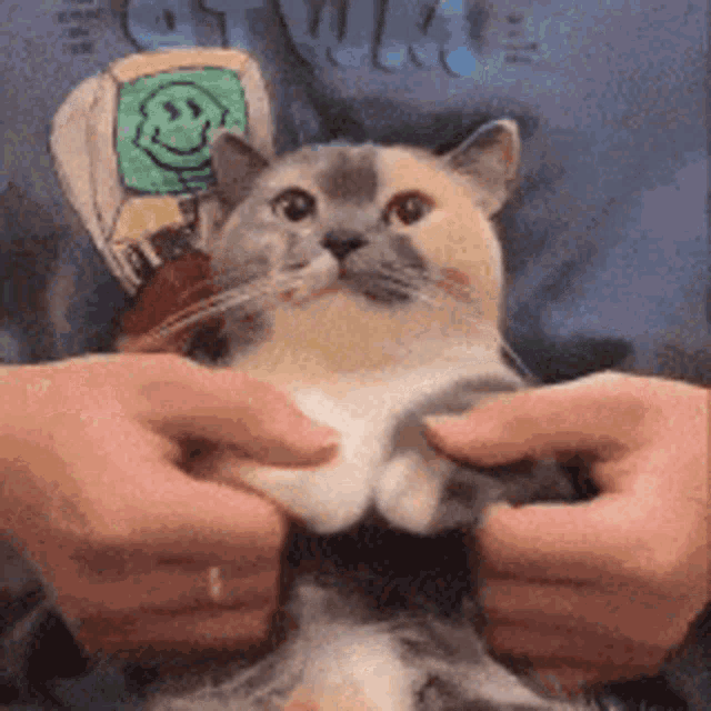 a person is holding a cat in their arms with a smiley face on their shirt .