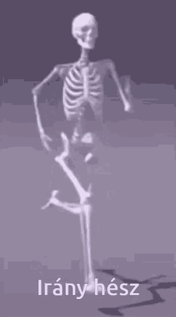 a skeleton is dancing in front of a purple background with the words irany hess written on it .