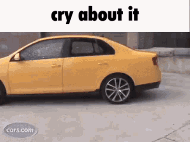 Cry About It Car Funny Car GIF