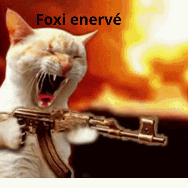 a cat is holding a gun with the words foxi enerve written above it