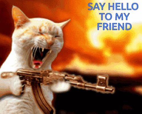 a picture of a cat holding a gun with the words say hello to my friend above it