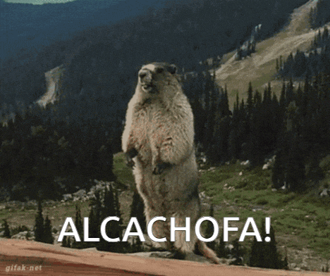 a ground squirrel standing on its hind legs with the word alcachofa written below it