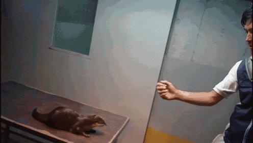 Tell Me When It'S Over! GIF - Otter Play Dead Gun GIFs