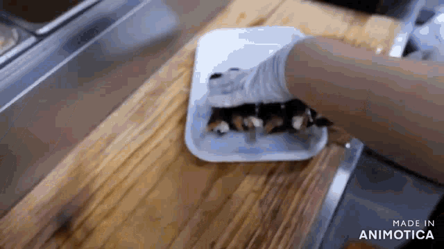 a person is putting sushi on a styrofoam tray on a wooden cutting board .