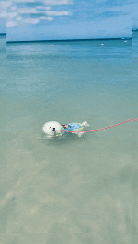 a person is floating in the ocean on a raft