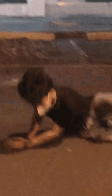 a man is crawling on the ground in front of a store that says pet city