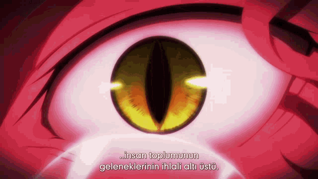 a close up of a person 's eye with the words " insan toplumunun geleneklerinin ihali alti ustu " below it