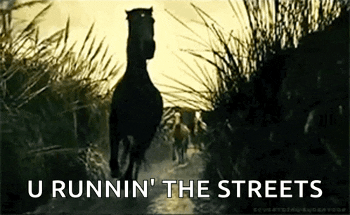 a horse is running down a path with the words u runnin ' the streets behind it