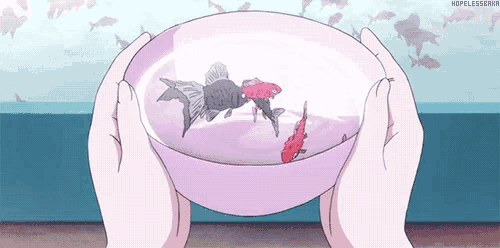 a person is holding a bowl with a fish in it .
