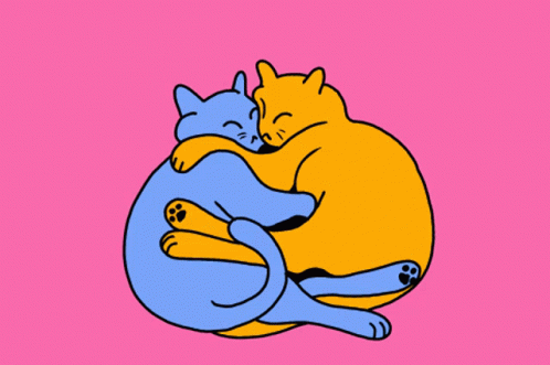 Cats Love GIF - Cats Love Cuddling GIFs
