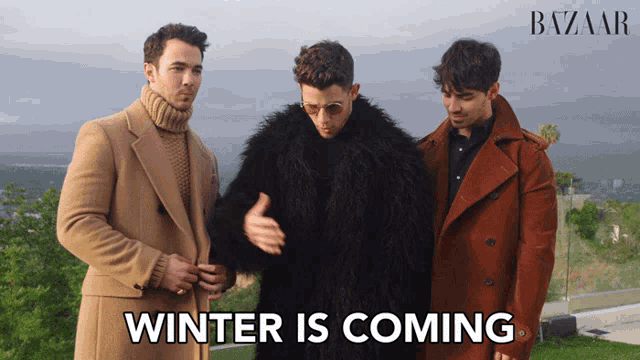 Winter Is Coming Winter Time GIF - Winter Is Coming Winter Time Cold Time GIFs