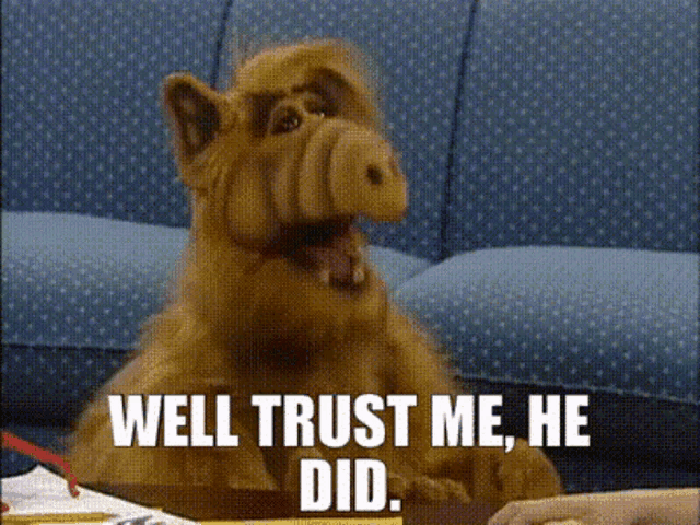 a stuffed animal says well trust me he did while sitting at a desk