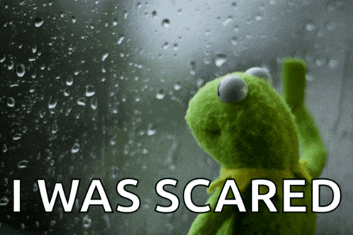kermit the frog looking out a window with the words " i was scared " on the bottom