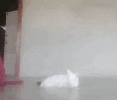a woman is laying on a bed with a pink blanket and a white wall .