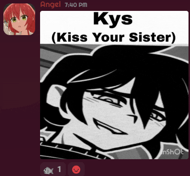 a screenshot of a video that says kys ( kiss your sister ) on it