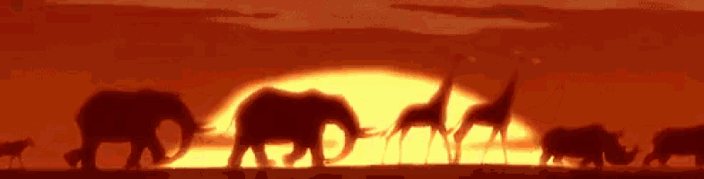 a silhouette of elephants , giraffes , and rhinos walking in front of a sunset .