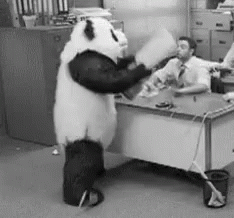 When You Can'T Take 9 To 5 Anymore GIF - Panda Angry Mad GIFs