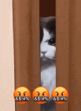 Angry Angry Cat GIF - Angry Angry Cat Mad Cat GIFs