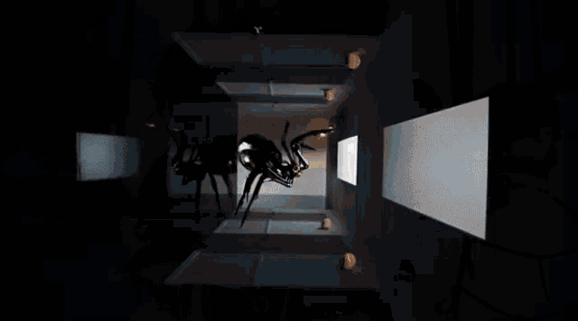 a spider is crawling through a dark hallway with a light on the wall