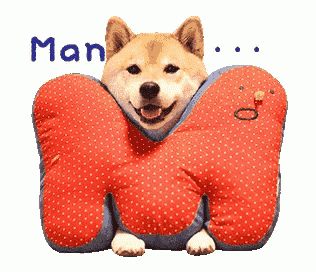 a dog is laying on a red pillow that says man