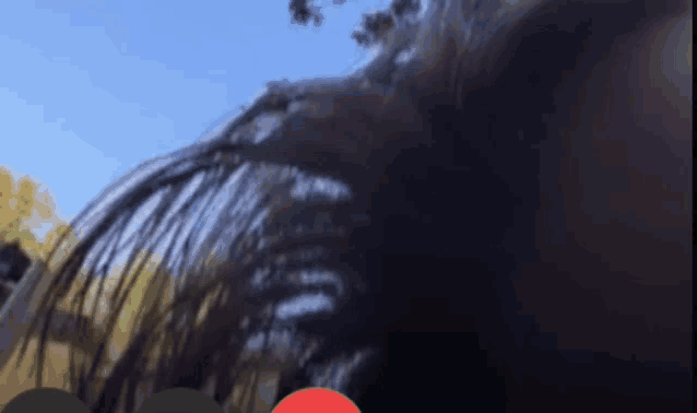 a blurry picture of a person 's face with a red circle in the middle