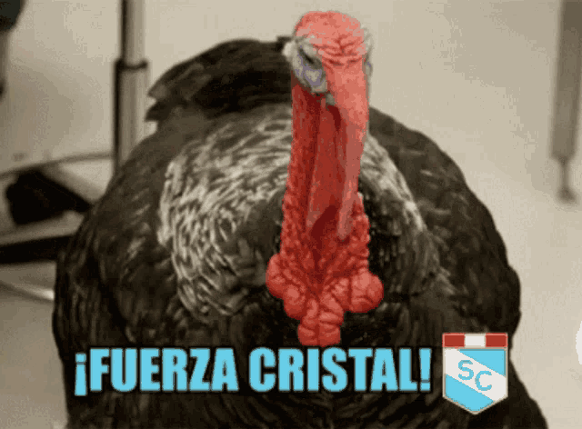 a picture of a turkey with the words fuerza cristal written below it