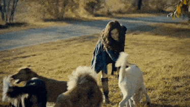 a woman is playing with a group of dogs in the grass .