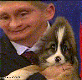 a man in a suit and tie is holding a small brown and white puppy