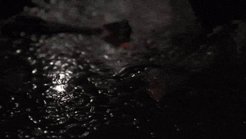 a person in a wet suit is crawling in the water