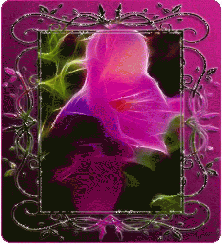 Pink Flower GIF - Pink Flower Photo GIFs