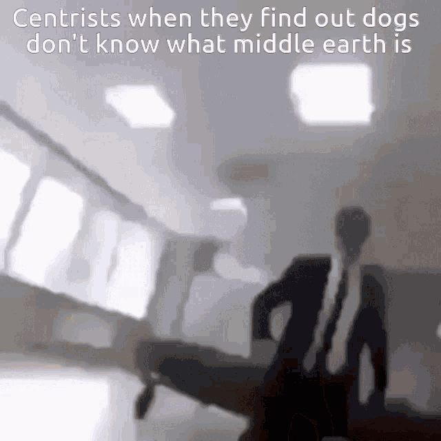 Centrist Dog Dog GIF