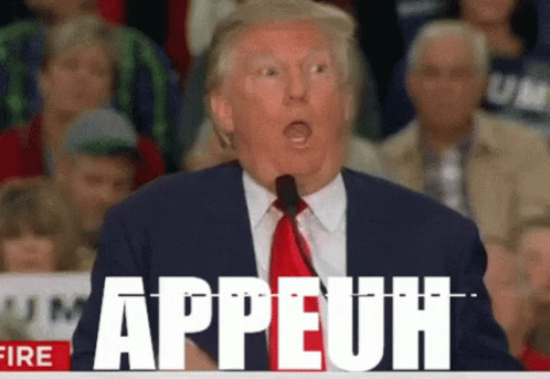 Appeuh Donald Trump GIF - Appeuh Donald Trump Speech GIFs