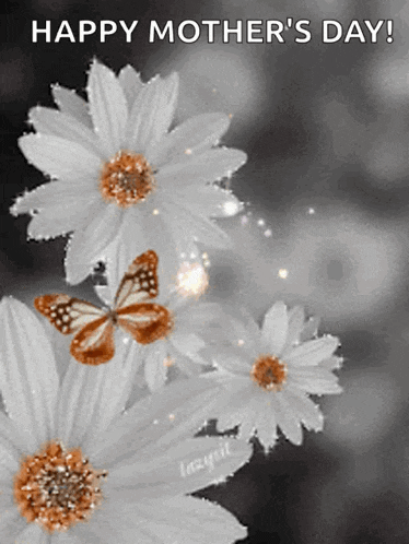 a happy mother 's day card with white daisies and butterflies flying around them