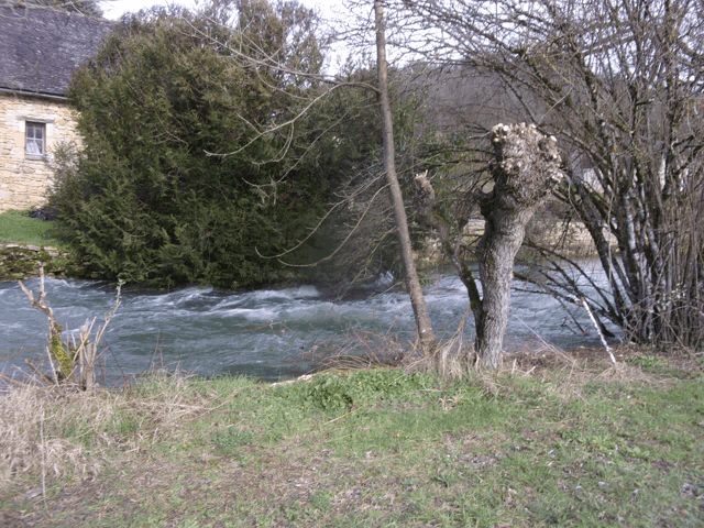 a river with a stone building in the background and a tree in the foreground