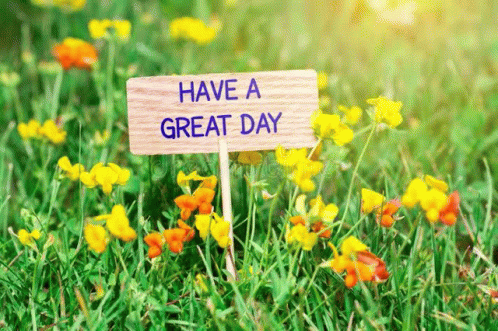 Have A Great Day Garden GIF - Have A Great Day Garden Flowers GIFs