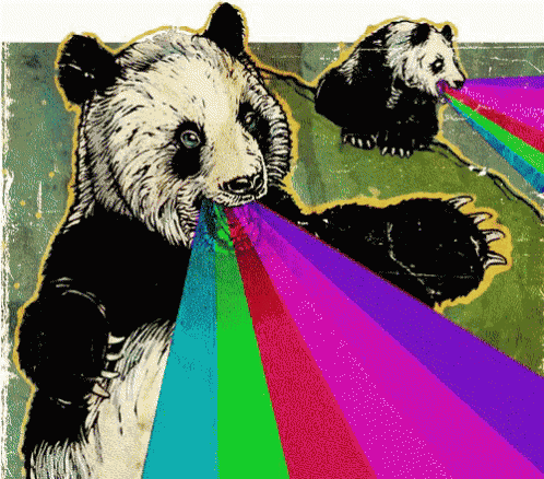 Panda Rainbow GIF - Panda Rainbow Laser GIFs