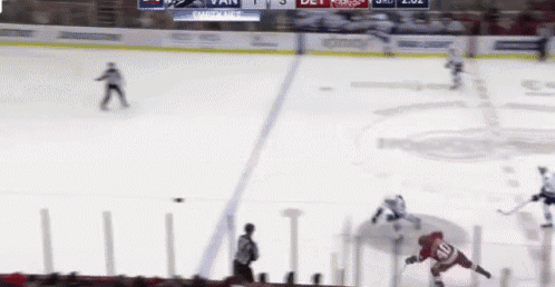 a hockey game is being played in front of a crowd