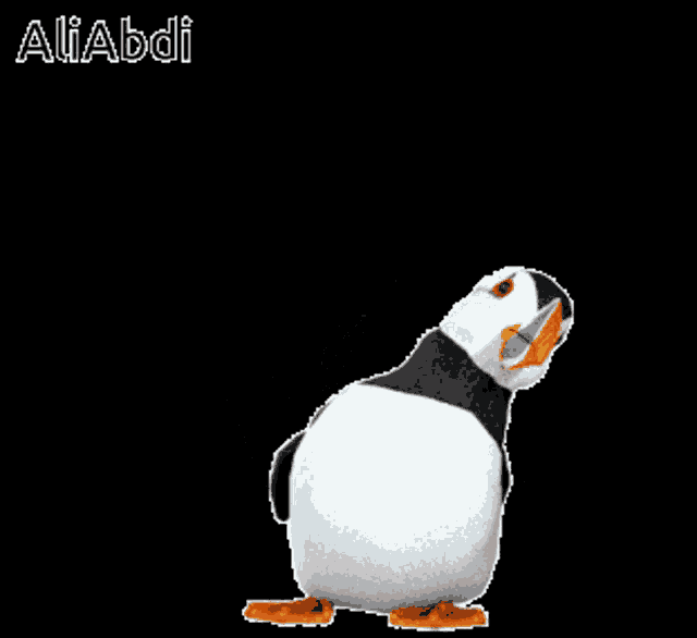 a black and white bird with orange feet and the name aliabdi on the bottom