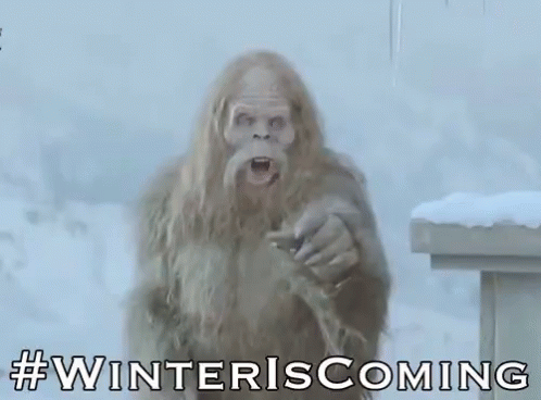 Winter Is Coming Cold Outside GIF - Winter Is Coming Cold Outside So Cold GIFs