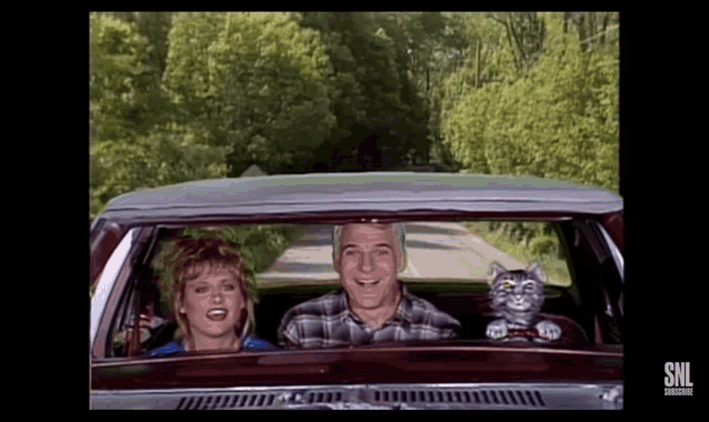 Toonces The Driving Cat Drivers Test GIF - Toonces The Driving Cat Drivers Test Scream GIFs