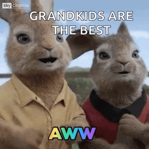 Grandkids Are The Best Rabbit GIF - Grandkids Are The Best Rabbit Couple GIFs