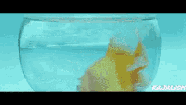 a goldfish is swimming in a bowl of water in a person 's hand .