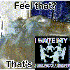 a picture of a cat and a picture of a group of people dancing with the words feel that that 's friends friday