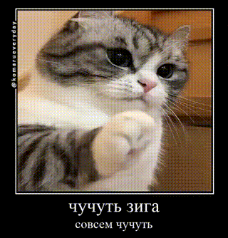 a picture of a cat in a frame with a caption in russian
