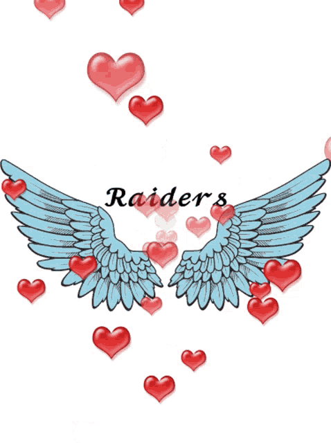 a drawing of a pair of wings with the word raiders on the bottom