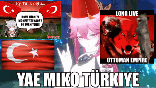 a collage of images with one that says yae miko turkeye