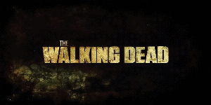 The Walking Dead GIF - The Walking Dead GIFs