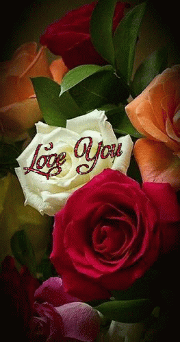 Love You Rose GIF - Love You Rose Flower GIFs
